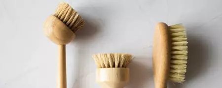 Dry Brush Massage